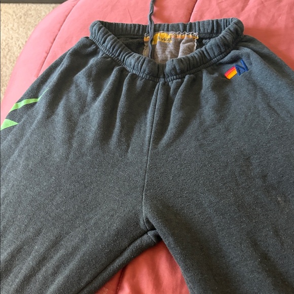 Aviator Nation Sweatpants - Picture 8 of 8